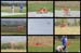 _DSC1563_collage - 1600x1067